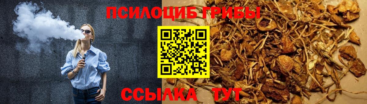 Лесозаводск  Псилоцибиновые грибы прущие грибы  Вход с VPN 